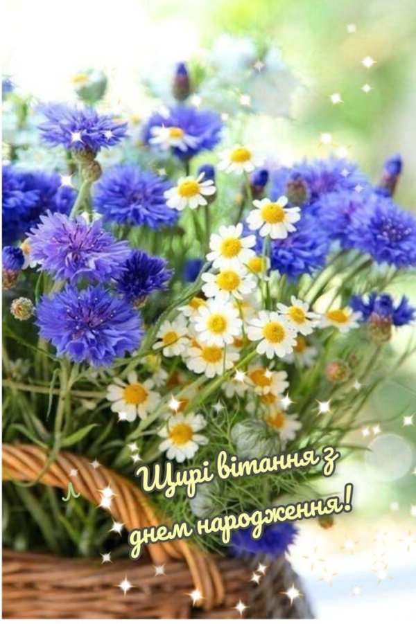 цветок полевой