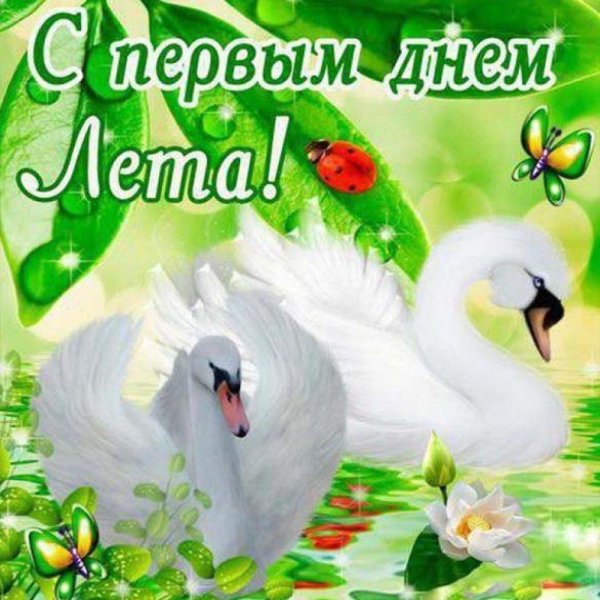 поздравление с первым днем лета