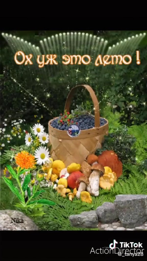 здравствуй август