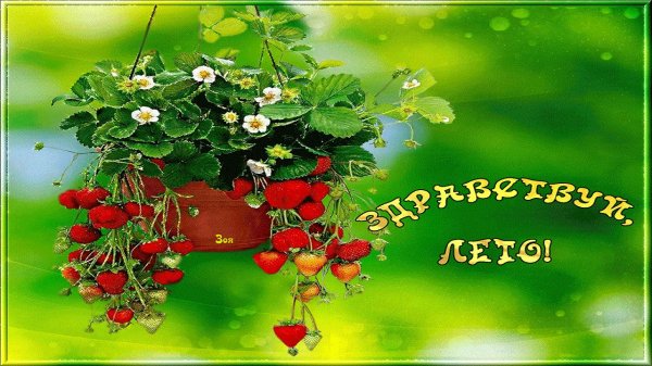 летние открытки