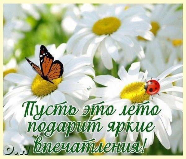 счастливого лета