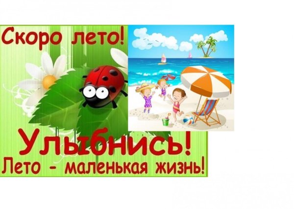 лето маленькая жизнь