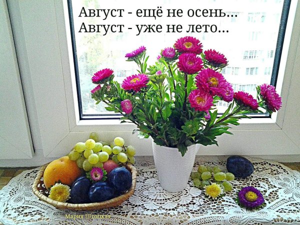 август август