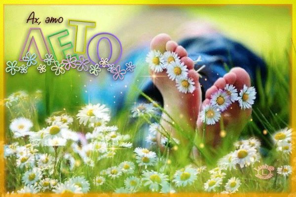 открытка летняя