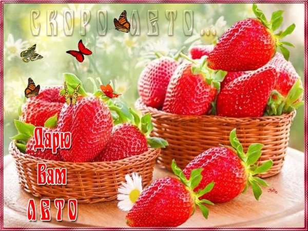 клубника стравберри