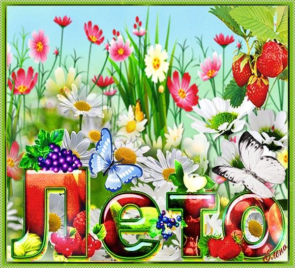 открытка с летом