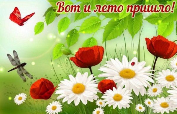 с ромашками