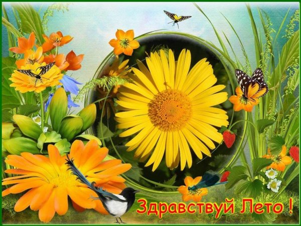летние открытки