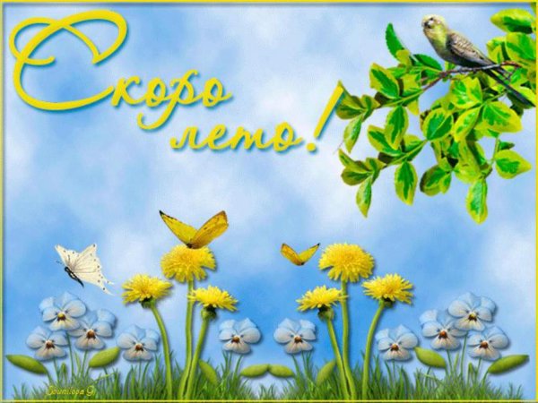 до свидание лето