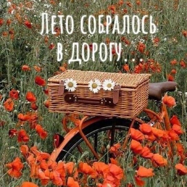 велосипед в поле