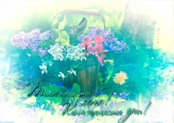 чудесного летнего утра