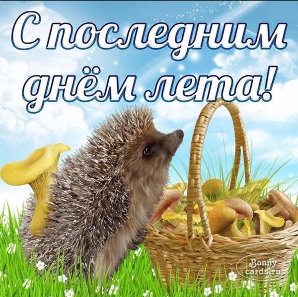 31 августа последний день лета