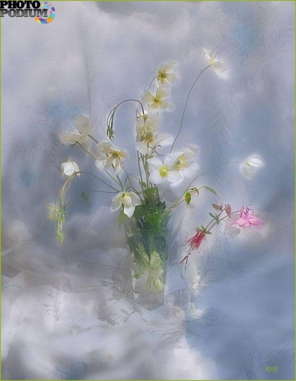 нежный натюрморт