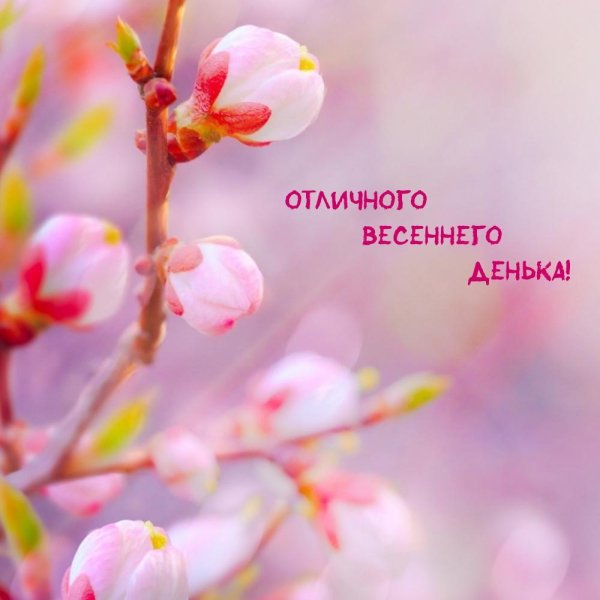 весенний денек