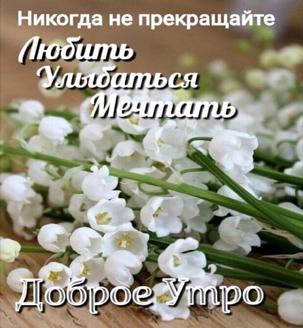 ландыш букет