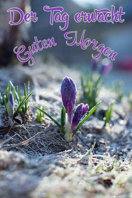 schönes wochenende grüße