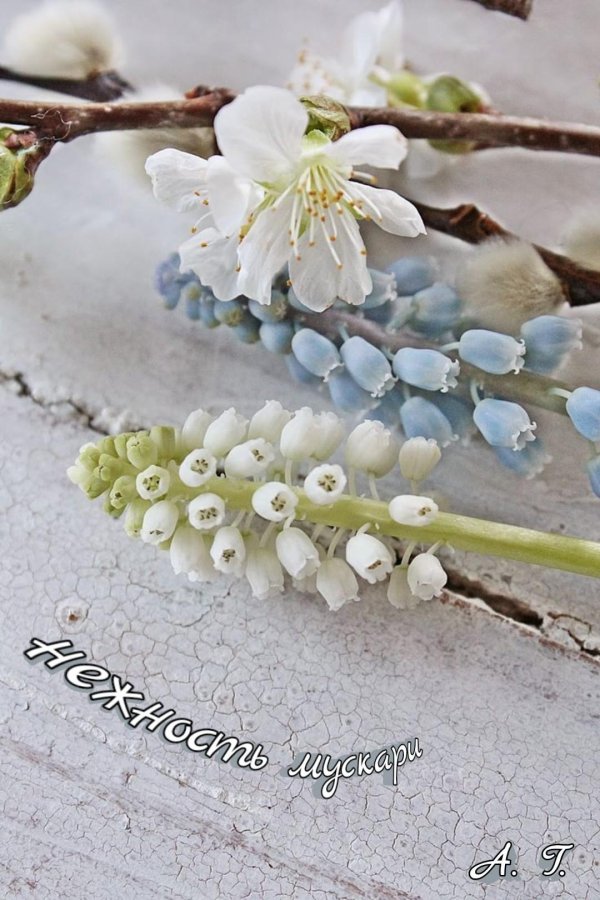 цветочная композиция