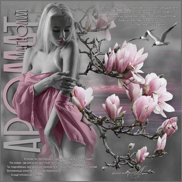 красивое поздравление