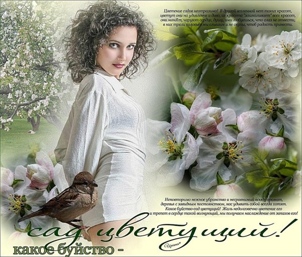 цветущие сады
