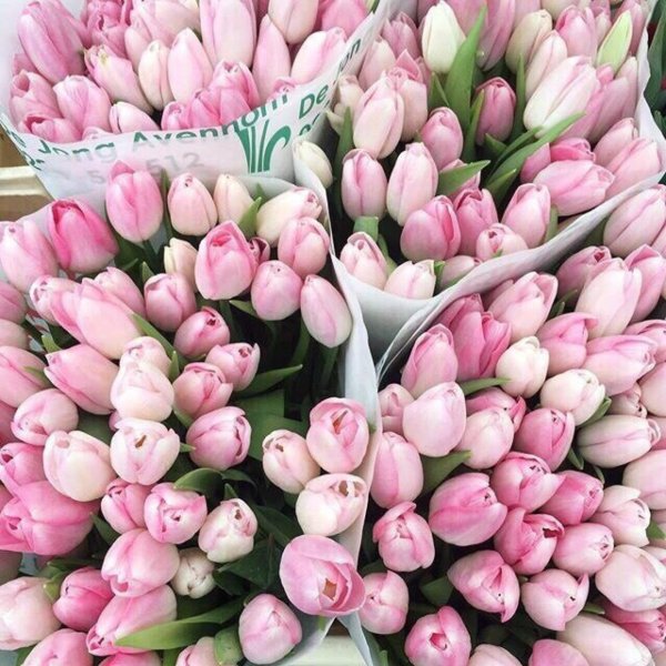 букет тюльпанов