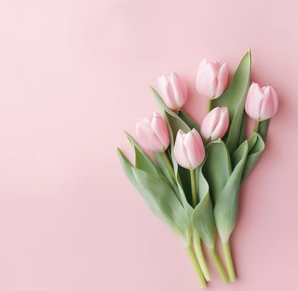 нежный фон с тюльпанами