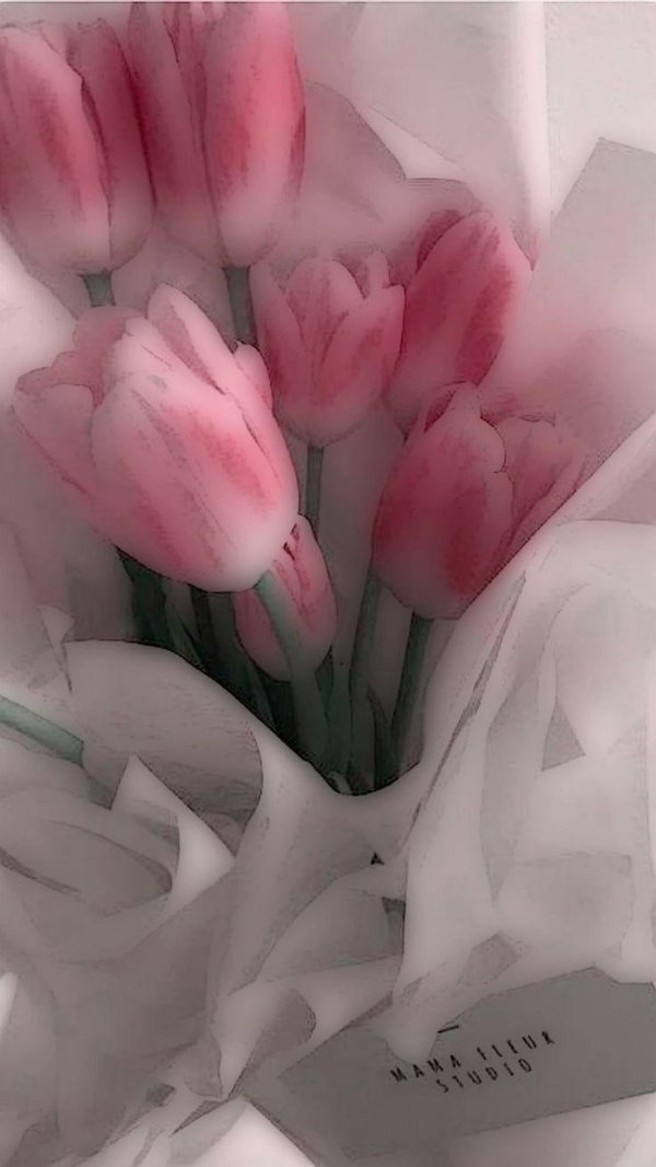 тюльпаны эстетика