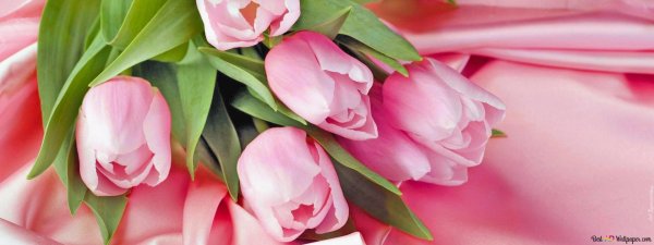 поздравлением с 8 марта