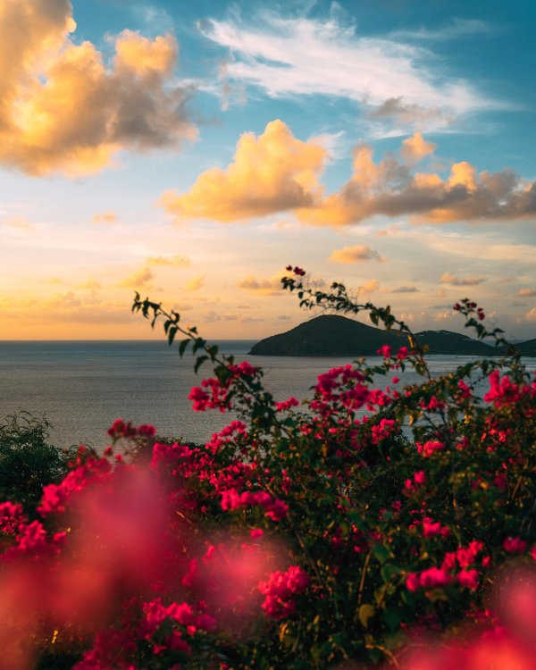 море природа