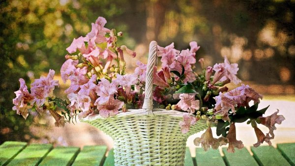 весенние композиции