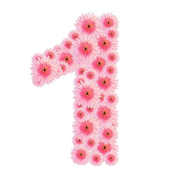 цветы с цифрами