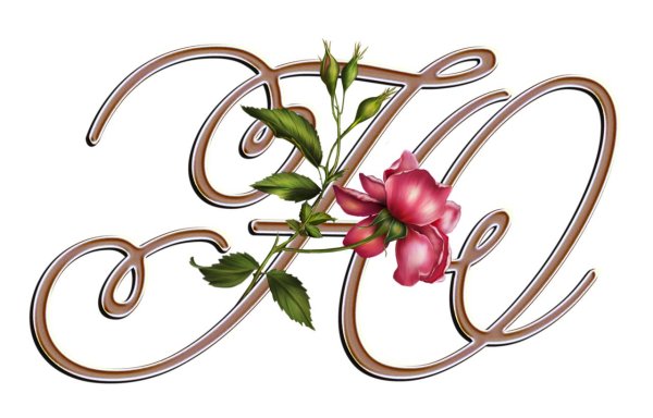 красивые буквы с цветами