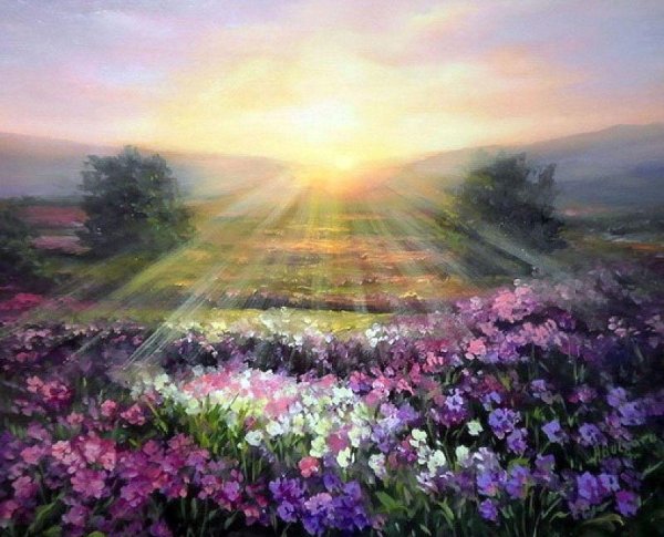 anca bulgaru живопись поле