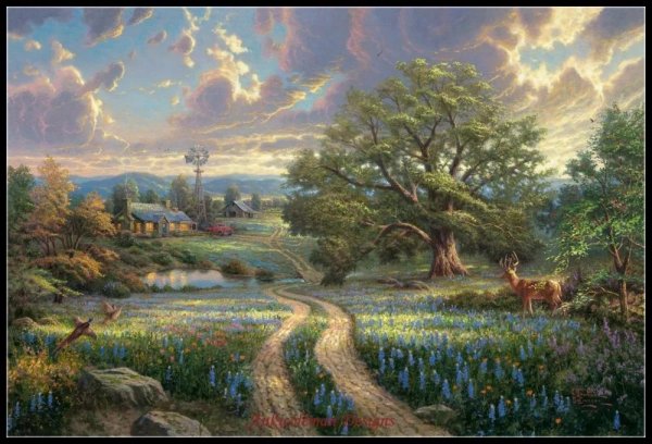 томас кинкаде