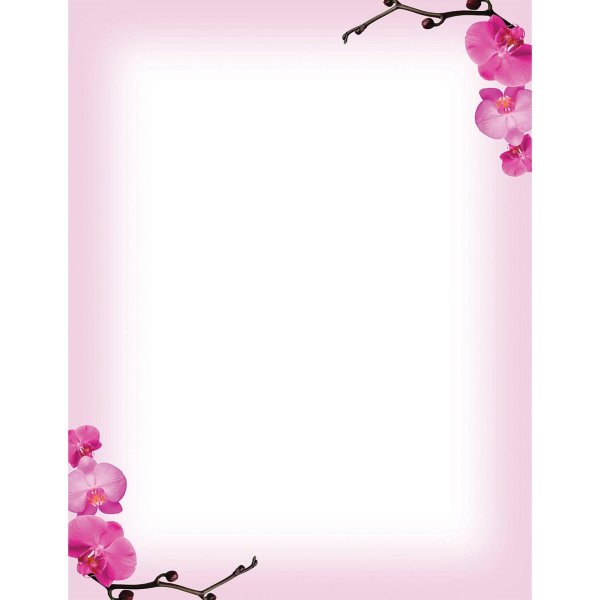 ветка орхидеи