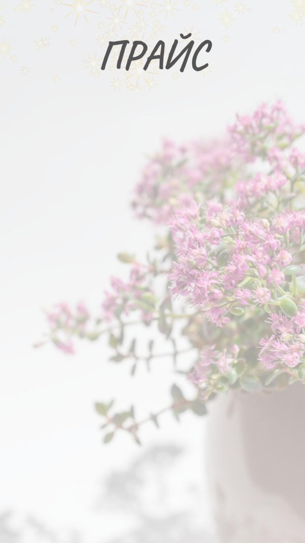 изменение в прайсе