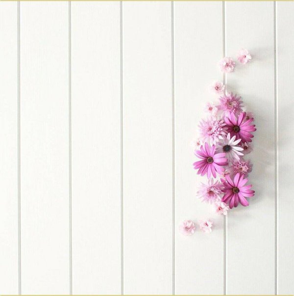 фотофон цветы