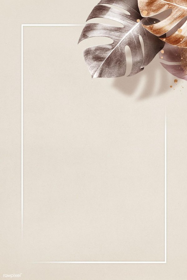 лист монстера