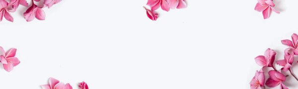 розовые цветы