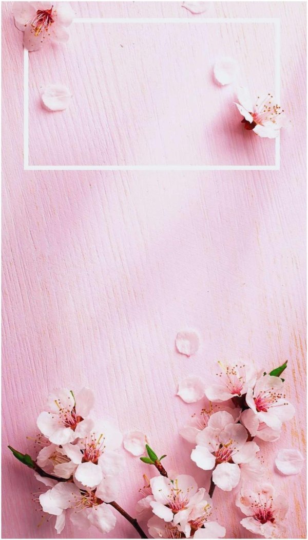 нежные фоны