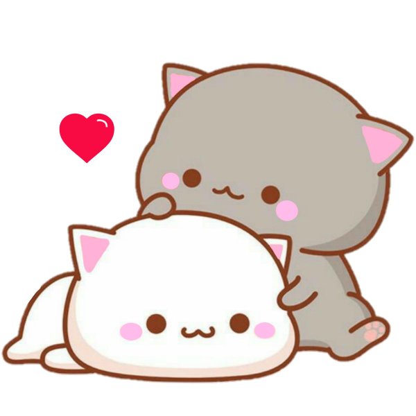 кавайные котики парочка