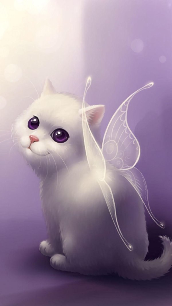 рихард донскис котики