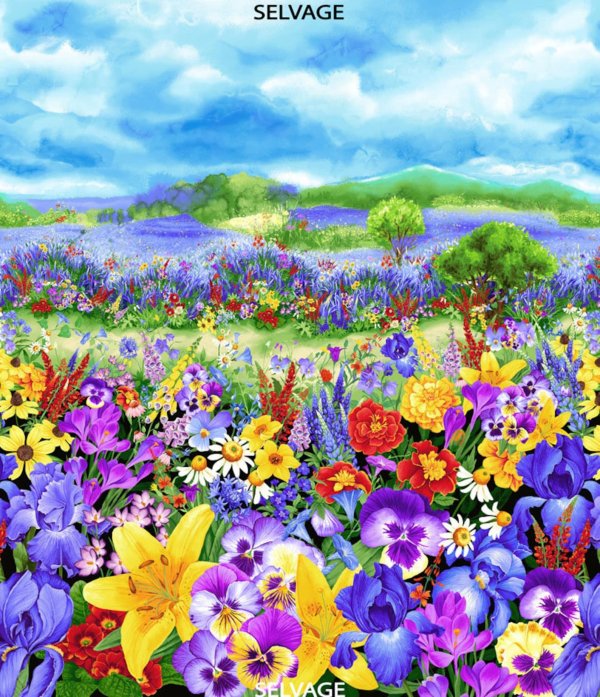 цветы на лугу