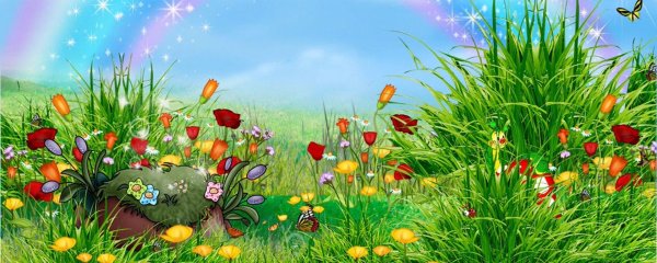 сказочная поляна цветов