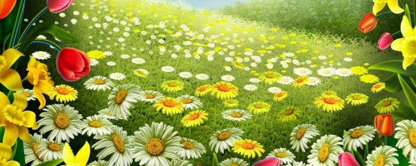 цветочная поляна