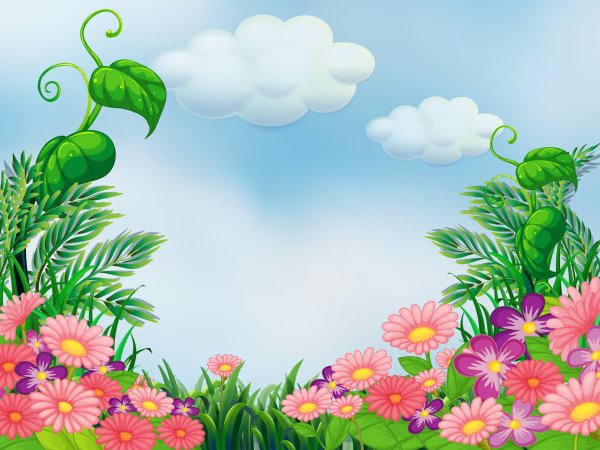 цветочные фоны