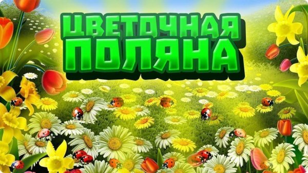 цветочная полянка