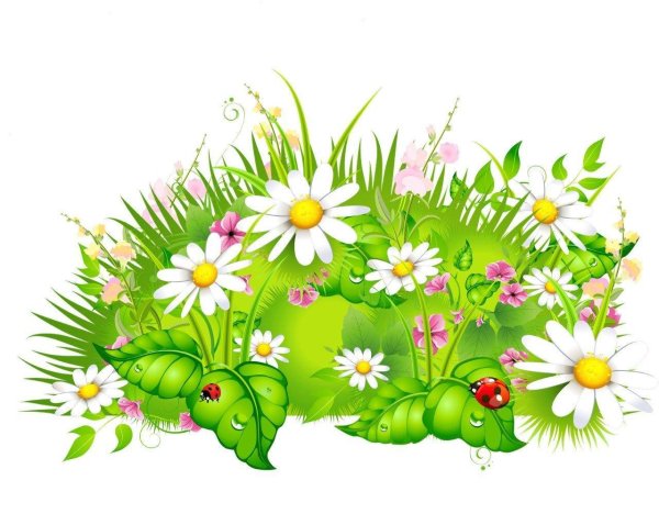 мультяшная ромашка