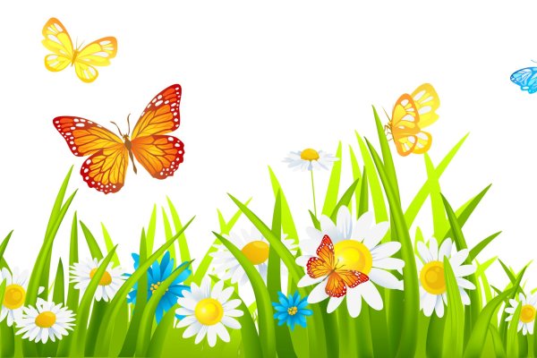 бабочки на лугу