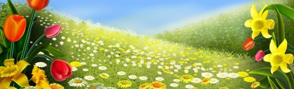 цветочная поляна