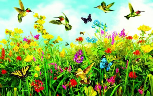 картина колибри